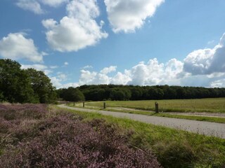 Parc de vacances Borger Environnement 16