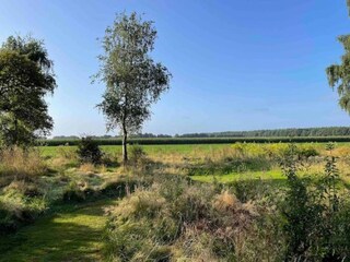 Parc de vacances Borger Environnement 19