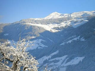 Apartment Fügen Außenaufnahme 2