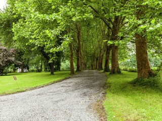 Parco vacanze Barvaux-sur-Ourthe Ambiente 19