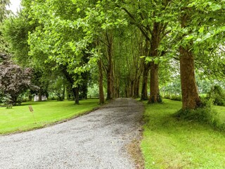 Parco vacanze Barvaux-sur-Ourthe Ambiente 21