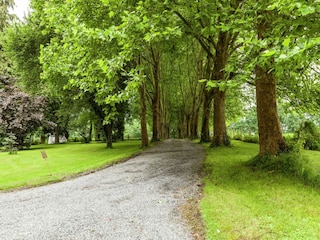 Ferienpark Barvaux-sur-Ourthe Umgebung 36