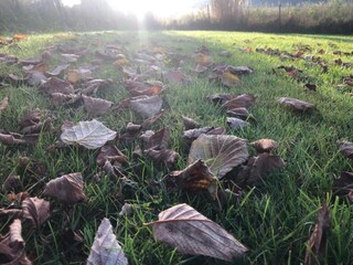 Holiday park Sonnen Environment 40