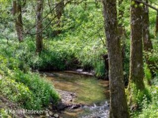 Parc de vacances Sonnen Environnement 31