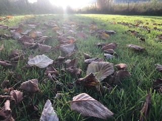 Parco vacanze Sonnen Ambiente 10