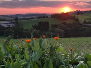 Ferienpark Sonnen Umgebung 19