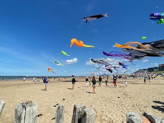 Holiday park Nieuwvliet Environment 27