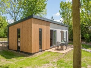 Vakantiepark Modern chalet met afwasmachine, nabij het Hunebedcentrum - Borger - image1