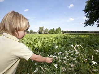 Vakantiepark Borger Omgeving 19