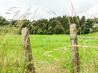 Parco vacanze Barvaux-sur-Ourthe Ambiente 24