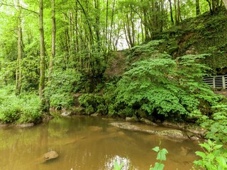 Holiday park Barvaux-sur-Ourthe Environment 18