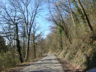 Holiday park Barvaux-sur-Ourthe Environment 21