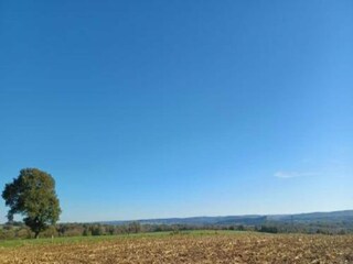 Parc de vacances Barvaux-sur-Ourthe Environnement 25
