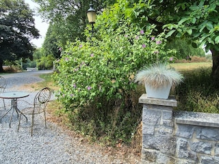 Ferienpark Barvaux-sur-Ourthe Umgebung 37