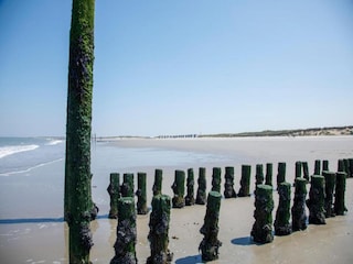 Holiday park Nieuwvliet Environment 31