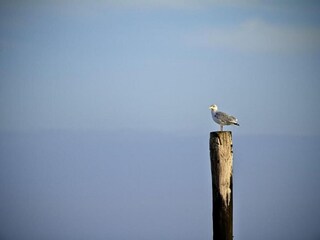 Parco vacanze Nieuwvliet Ambiente 27