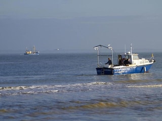 Holiday park Nieuwvliet Environment 34