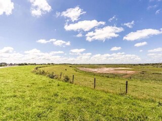 Parque de vacaciones Nieuwvliet Entorno 23