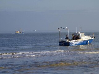 Parque de vacaciones Nieuwvliet Entorno 24