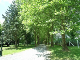 Ferienpark Barvaux-sur-Ourthe Umgebung 28
