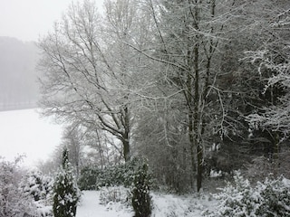Ferienpark Barvaux-sur-Ourthe Außenaufnahme 12