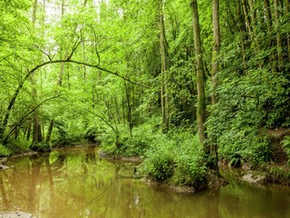 Holiday park Barvaux-sur-Ourthe Environment 31