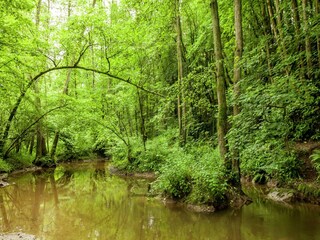 Ferienpark Barvaux-sur-Ourthe Umgebung 32