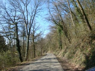 Holiday park Barvaux-sur-Ourthe Environment 31