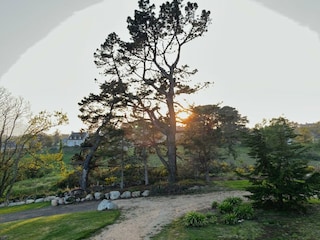 Garten auf der Rückseite des Hauses