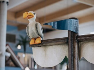 Vakantiepark Nieuwvliet  24