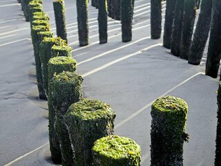 Ferienpark Nieuwvliet Umgebung 13