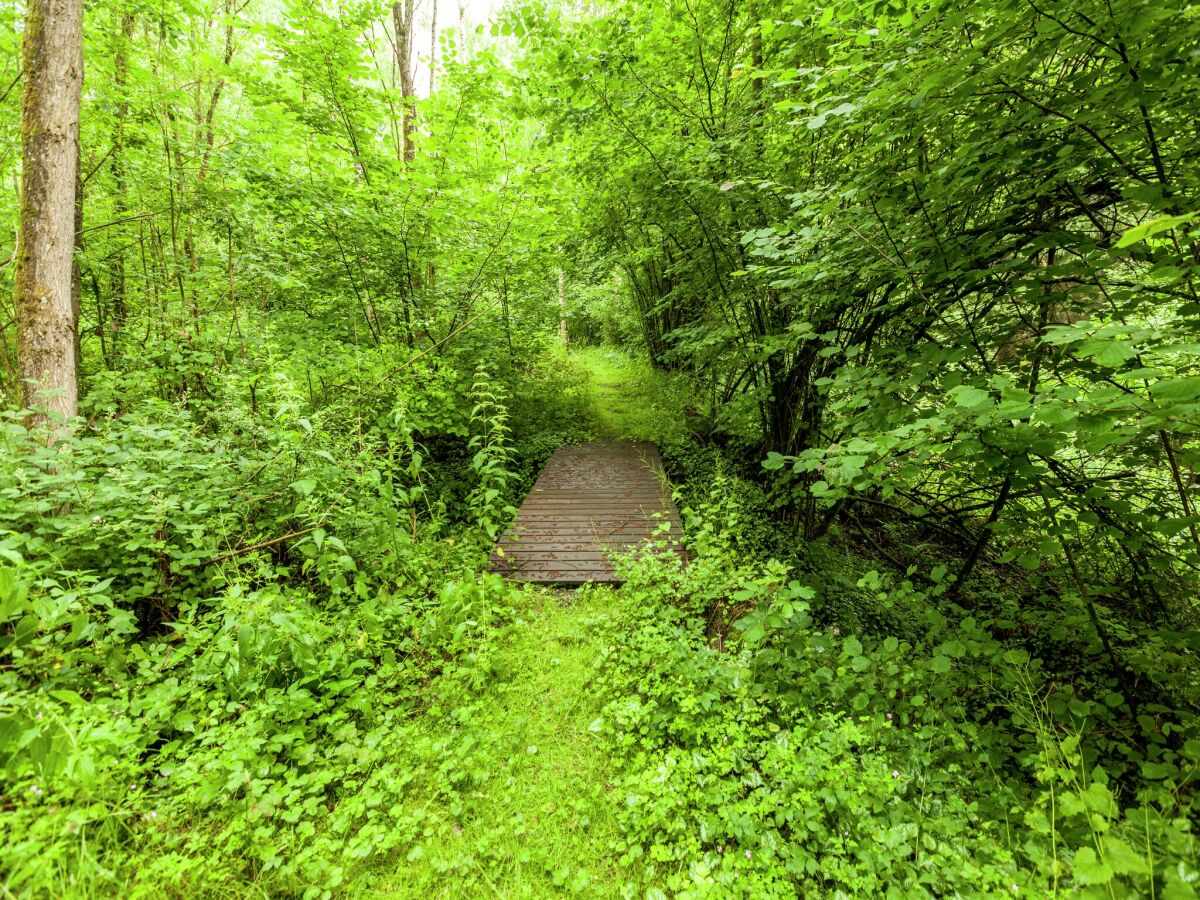 Ferienpark Barvaux-sur-Ourthe Umgebung 23