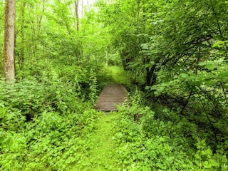 Holiday park Barvaux-sur-Ourthe Environment 38