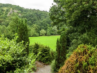 Holiday park Barvaux-sur-Ourthe Environment 37