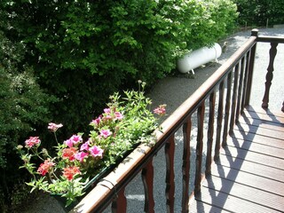 Holiday park Barvaux-sur-Ourthe Outdoor Recording 12