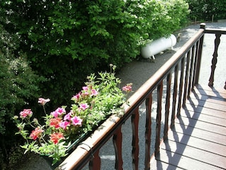 Holiday park Barvaux-sur-Ourthe Outdoor Recording 9