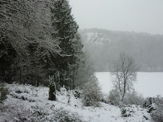 Ferienpark Barvaux-sur-Ourthe Umgebung 33