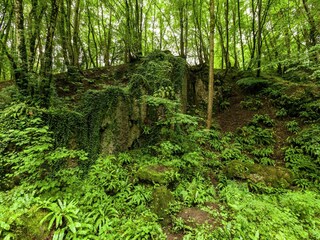 Holiday park Barvaux-sur-Ourthe Environment 38