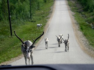 Appartamento per vacanze Saariselkä Ambiente 16