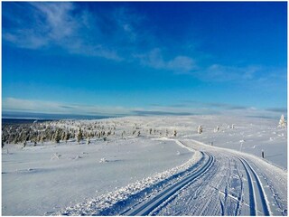 Apartamento de vacaciones Saariselkä Entorno 11