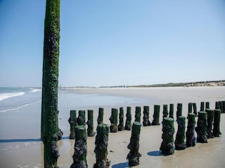 Parc de vacances Nieuwvliet Environnement 27