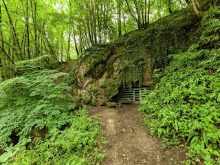 Ferienpark Barvaux-sur-Ourthe Umgebung 27