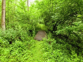 Ferienpark Barvaux-sur-Ourthe Umgebung 32