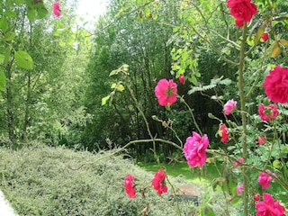 Ferienpark Barvaux-sur-Ourthe Außenaufnahme 2