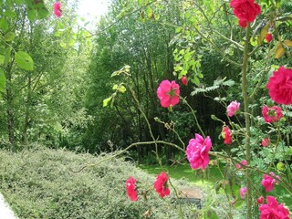 Vakantiepark Barvaux-sur-Ourthe Buitenaudio-opname 2