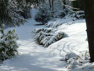 Ferienpark Barvaux-sur-Ourthe Außenaufnahme 11