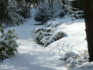 Vakantiepark Barvaux-sur-Ourthe Buitenaudio-opname 11