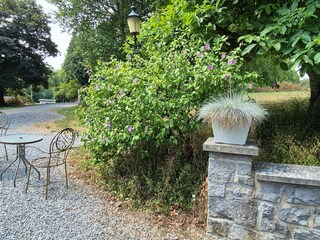 Ferienpark Barvaux-sur-Ourthe Umgebung 34