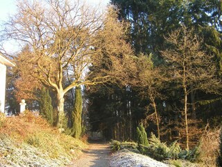 Ferienpark Barvaux-sur-Ourthe Umgebung 36