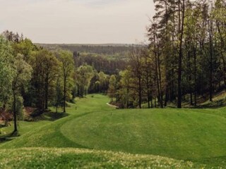 Ferienpark Barvaux-sur-Ourthe Umgebung 43